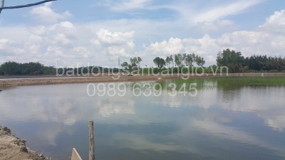 4.500m2 đất thủy sản xã Bình Khánh giá rẽ